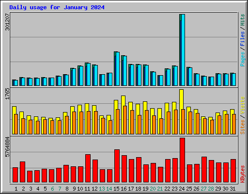 Daily usage for January 2024