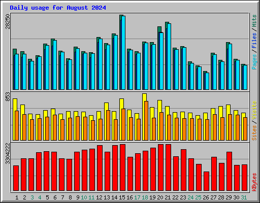 Daily usage for August 2024