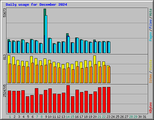 Daily usage for December 2024