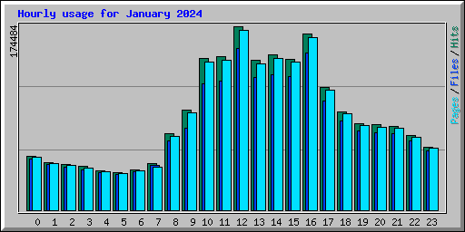 Hourly usage for January 2024