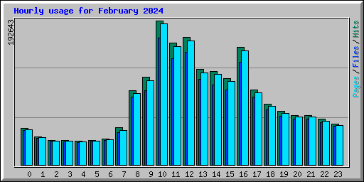 Hourly usage for February 2024