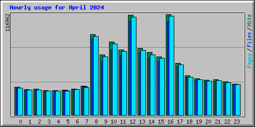 Hourly usage for April 2024