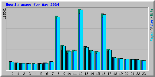 Hourly usage for May 2024