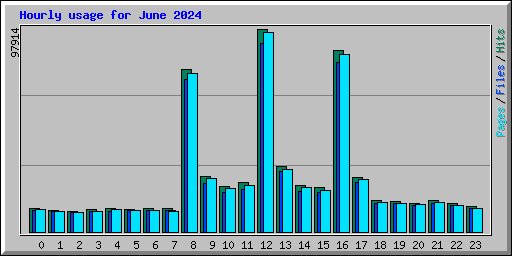 Hourly usage for June 2024