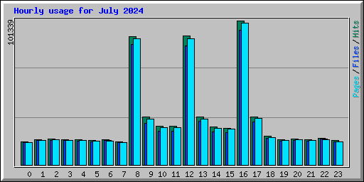 Hourly usage for July 2024