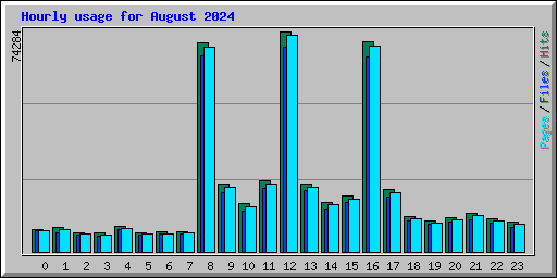 Hourly usage for August 2024