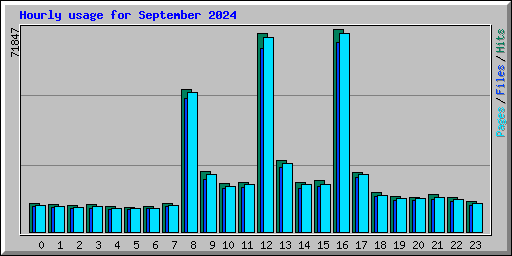 Hourly usage for September 2024