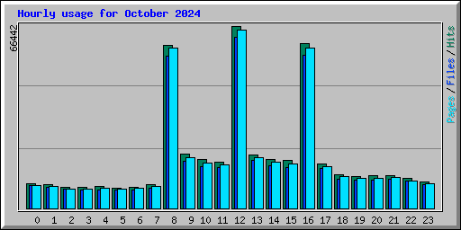 Hourly usage for October 2024