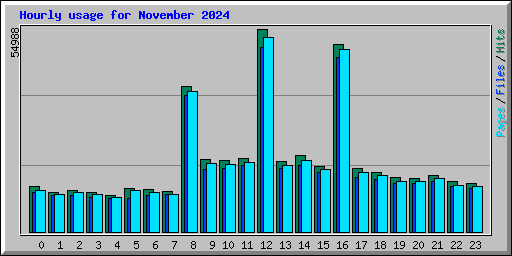 Hourly usage for November 2024