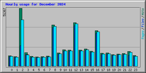 Hourly usage for December 2024